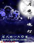 月夜引魂灯小说